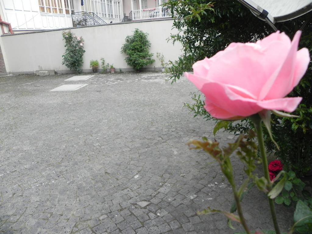 Old Yard Guest House Tbilisi Eksteriør billede